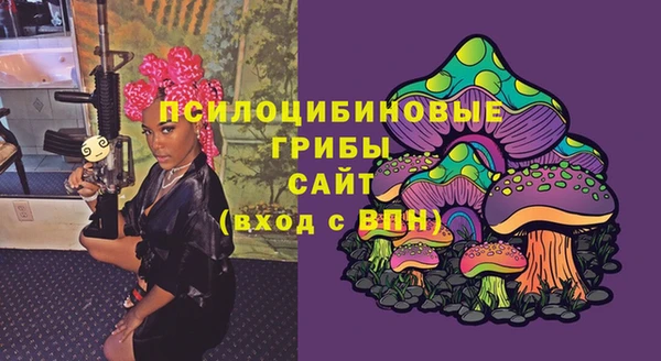 бошки Аркадак