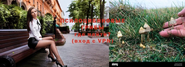 бошки Армянск