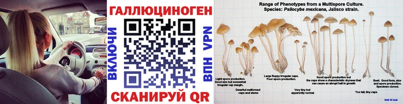 Псилоцибиновые грибы Psilocybine cubensis Байкальск